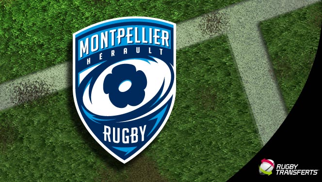 Transfert rugby MHR Montpellier
