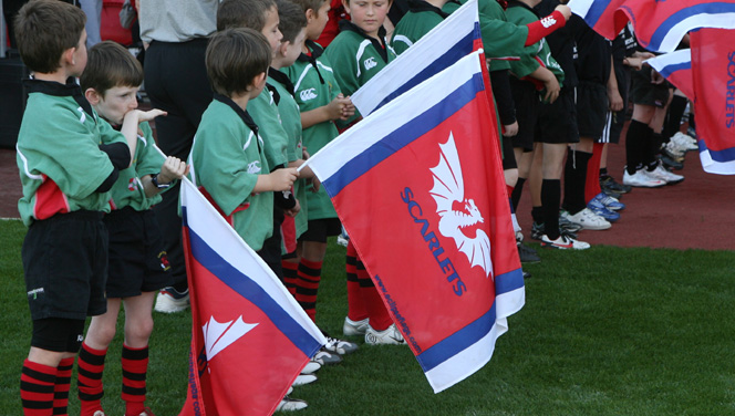 illustration Llanelli drapeau 11